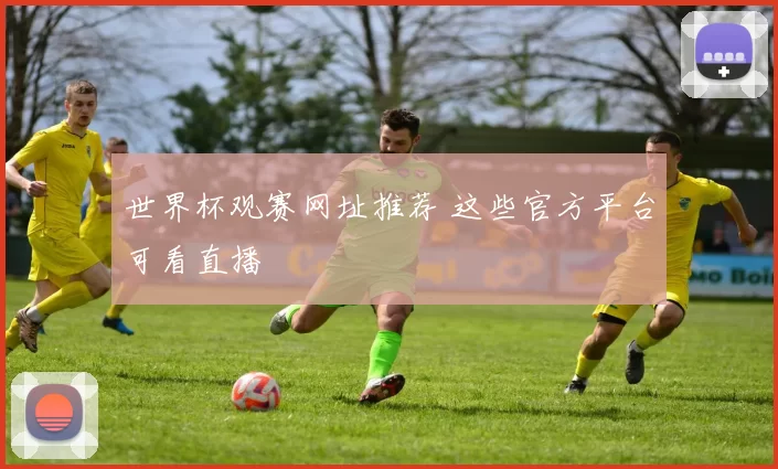 世界杯观赛网址推荐 这些官方平台可看直播