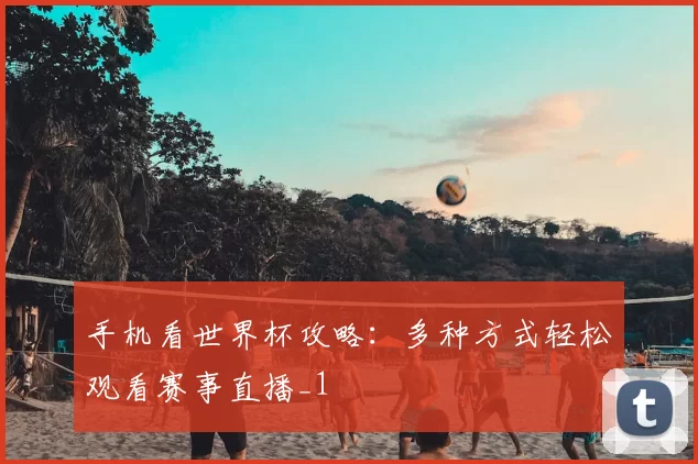 手机看世界杯攻略：多种方式轻松观看赛事直播_1