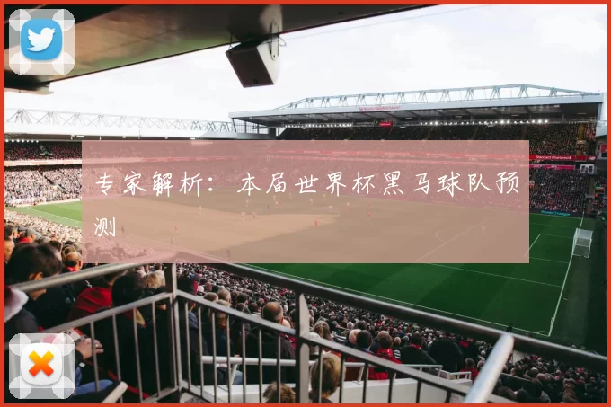 专家解析：本届世界杯黑马球队预测