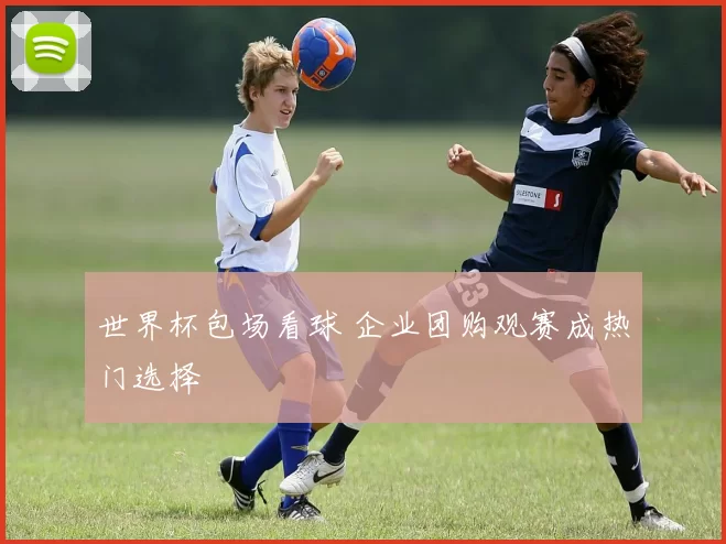 世界杯包场看球 企业团购观赛成热门选择