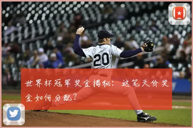 世界杯冠军奖金揭秘：这笔天价奖金如何分配？