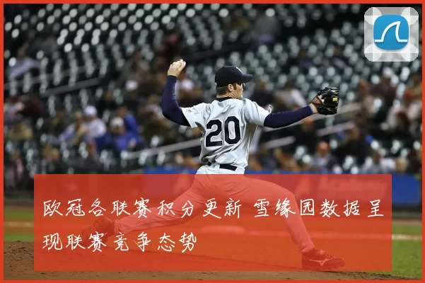 欧冠各联赛积分更新 雪缘园数据呈现联赛竞争态势