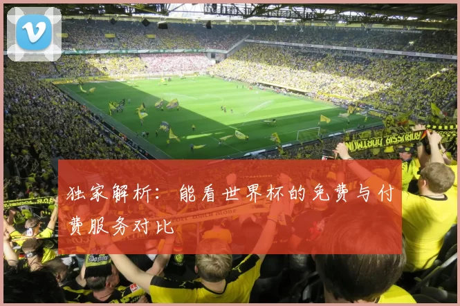独家解析:能看世界杯的免费与付费服务对比