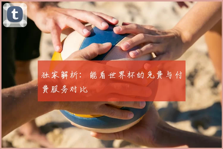独家解析:能看世界杯的免费与付费服务对比