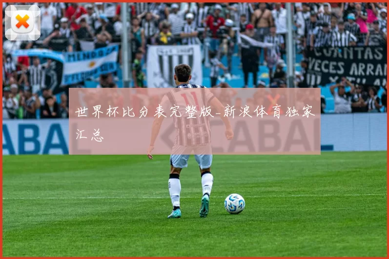世界杯比分表完整版_新浪体育独家汇总