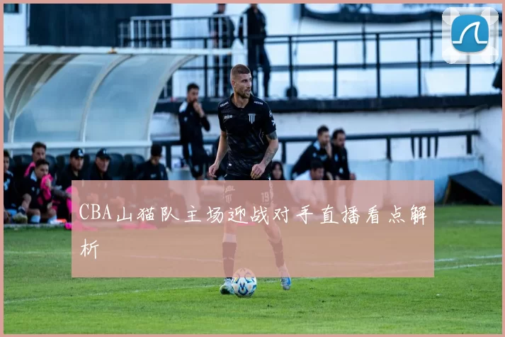 CBA山猫队主场迎战对手直播看点解析