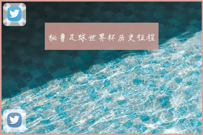 秘鲁足球世界杯历史征程