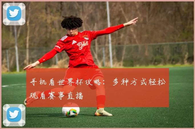 手机看世界杯攻略：多种方式轻松观看赛事直播