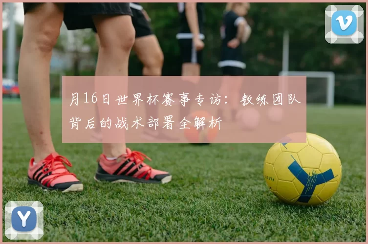 月16日世界杯赛事专访：教练团队背后的战术部署全解析