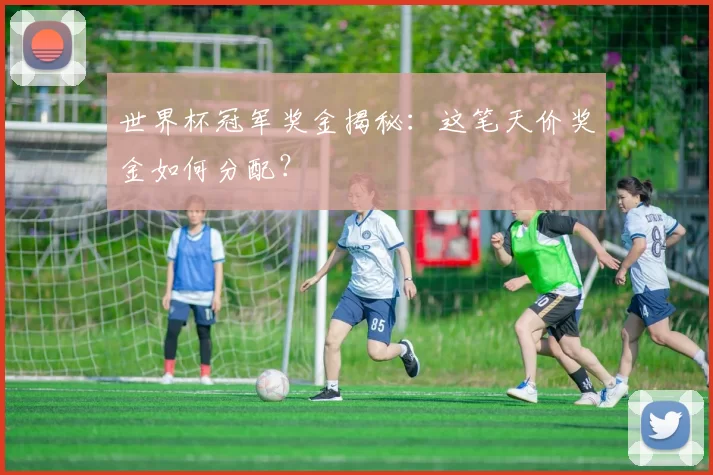 世界杯冠军奖金揭秘：这笔天价奖金如何分配？